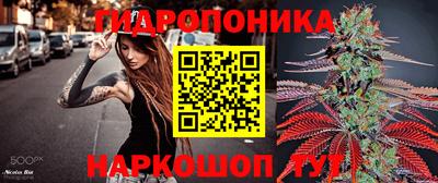 молекула духа Малоярославец