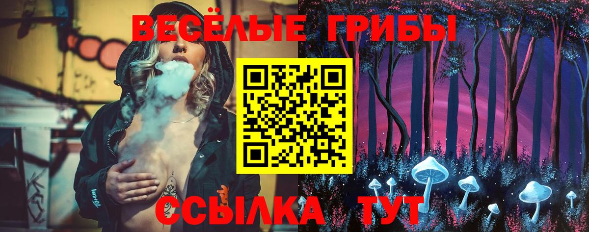 Псилоцибиновые грибы Psilocybe  Вход с VPN  Псилоцибиновые грибы ЛСД  Боровичи 